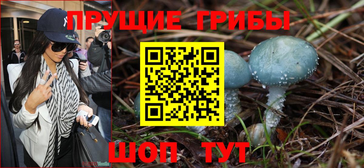 Псилоцибиновые грибы Psilocybine cubensis Чебаркуль